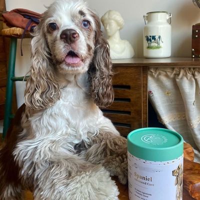 Factory Wholesale Customize Eco Friendly White Cardboard Paper Tube Packaging Paper Box for Pet Treats Towel Hair Pin Candle